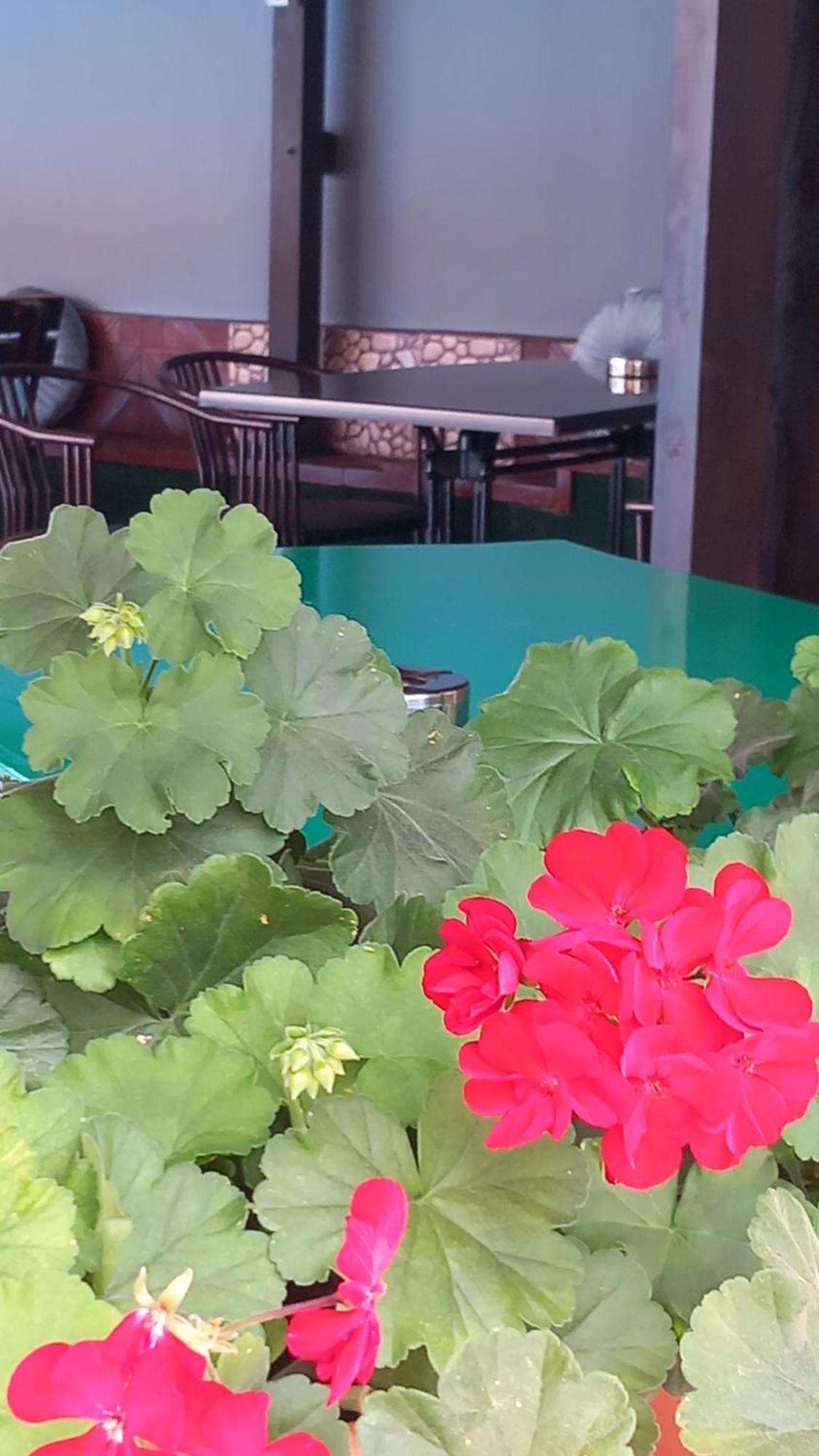 Family Hotel Yagoda88 Sofya Dış mekan fotoğraf